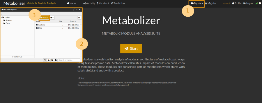 metabolizeupload1.png metabolizeupload1.png