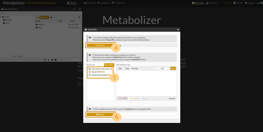 metabolizerupload2.png metabolizerupload2.png